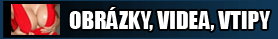 Wibo.cz - Obrzky, videa, vtipy